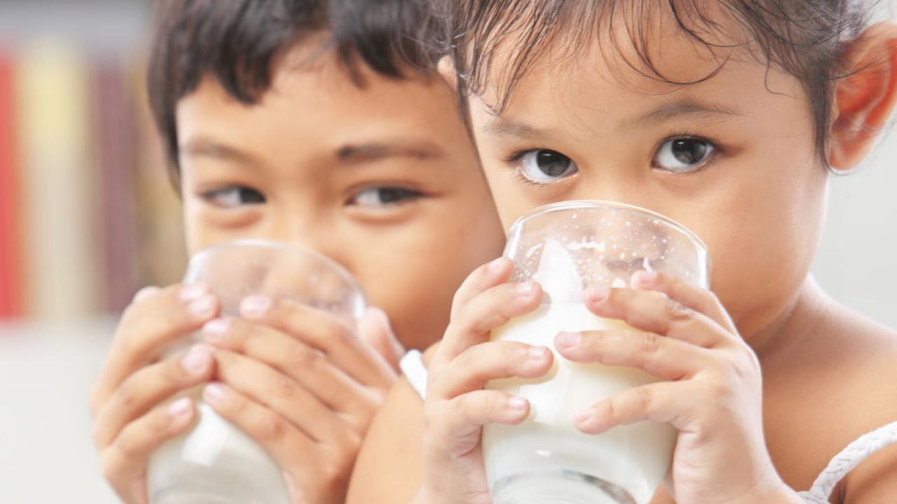 Wheys and Means: The New Model for Human Diet and Health