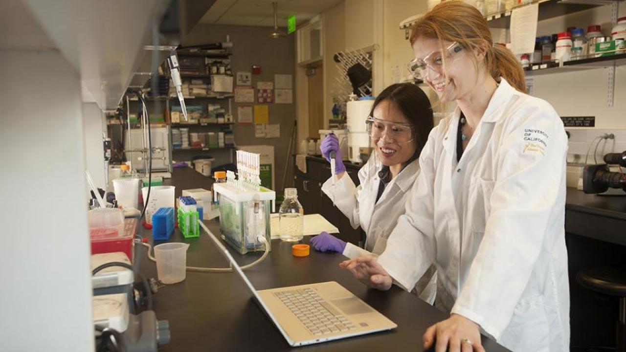 New Portal Unites Campus STEM Network